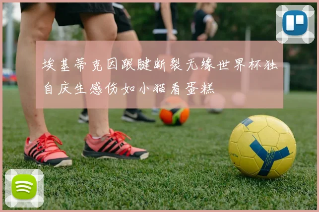 埃基蒂克因跟腱断裂无缘世界杯独自庆生感伤如小猫看蛋糕